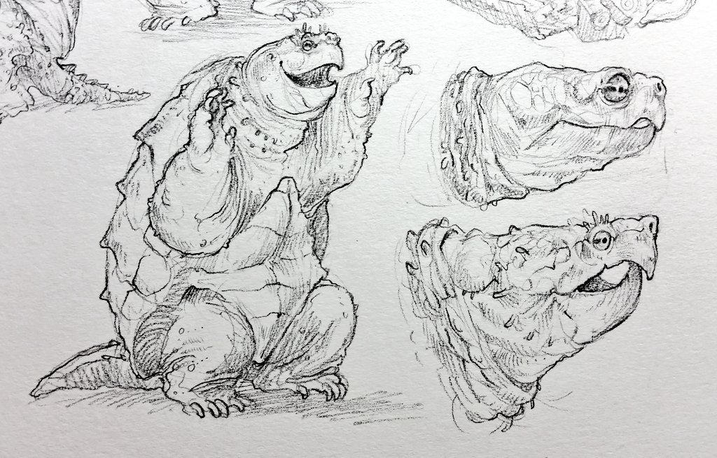 Snapping Turtle Studies by Rowkey on DeviantArt