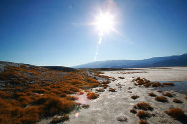 Salt Flat - Death Valley, CA