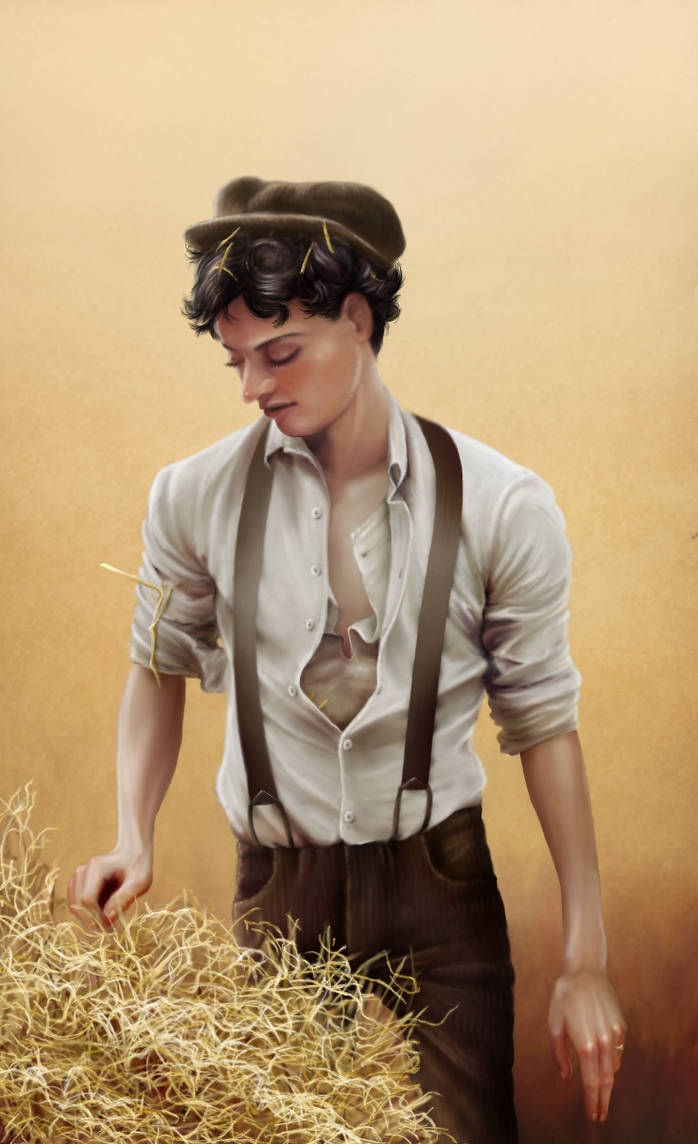 The Farm Boy by oingy-boingy on DeviantArt