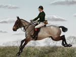 St George's Day Hunt - Valentine and Woodlark by oingy-boingy