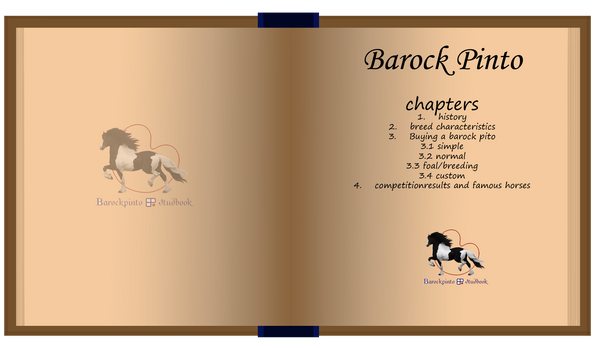 Barock pinto Book