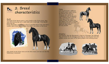 barock pinto 2. Breed characteristics