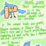 Spirit-Objectimals INFO