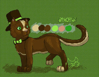 Gracelin | Reference Sheet