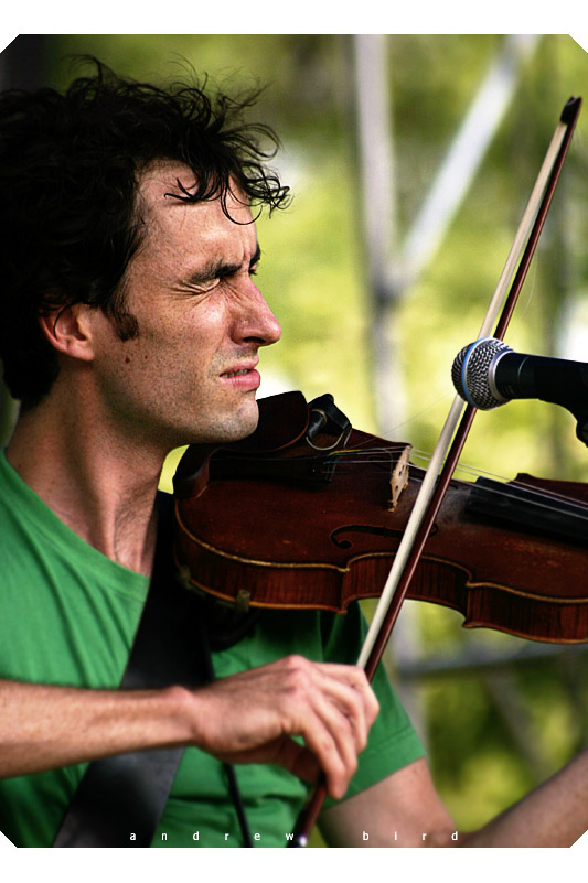 andrew bird     2