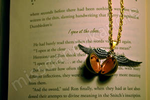 Harry Potter Snitch Necklace 2