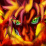 Dragon Natsu