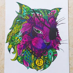 Cat Pirate Coloring Page
