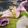 Magic Crystal Snail Pink 2/2