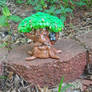 Tall Oak Deku Family Tree