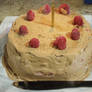 Raspberry Dark Chocolate Birthday Cake 1/2