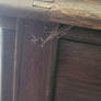 Tiny Baby Mantis Feasting