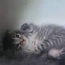 Smol Round Stripy Baby 1/2