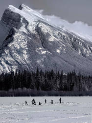 A real Canadian Afternoon