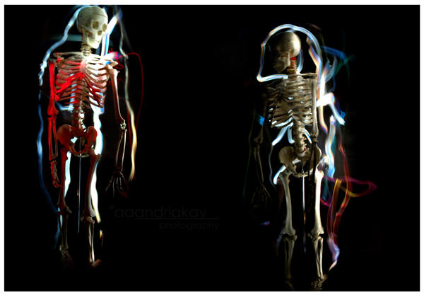 skeletal creations