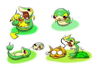 Snivy wants chus