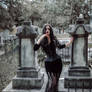 Morticia Addams Cemetery V