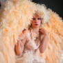 Frothy Peach Angel III