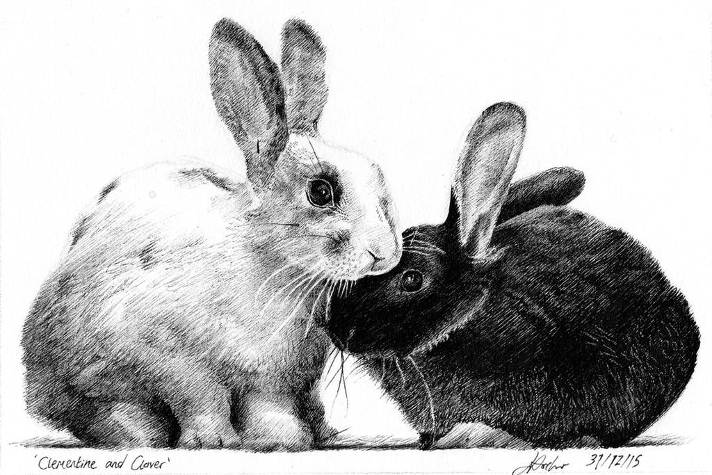 Brown Rabbit Deviantart Rabbits by TheChesterCat on DeviantArt
