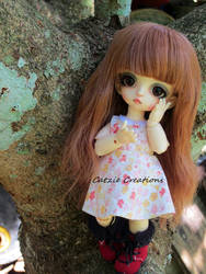 Clover new wig