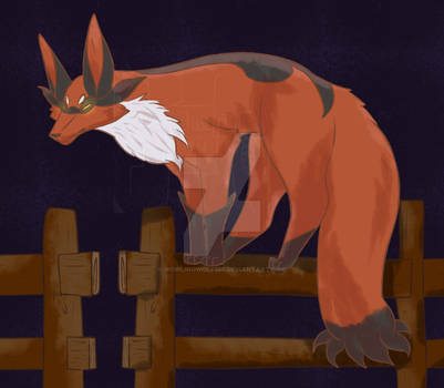 Sly Fox