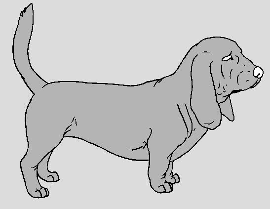 Dog Template - Basset Hound