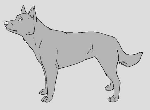 Dog Template - Australian Kelpie