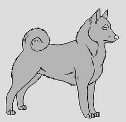 Dog Template - Norwegian Elkhound