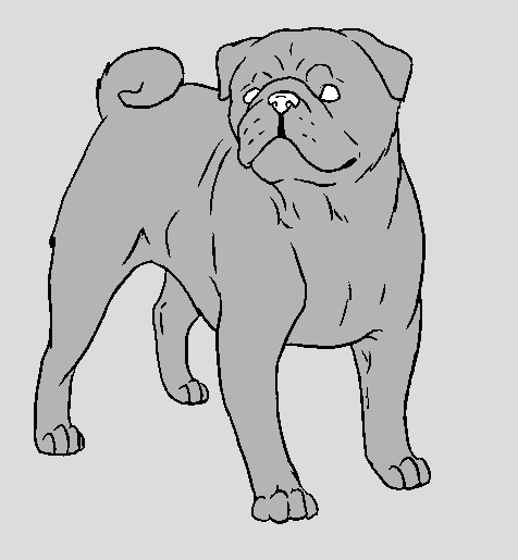 Dog Template - Pug