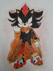 shadow the hedgehog