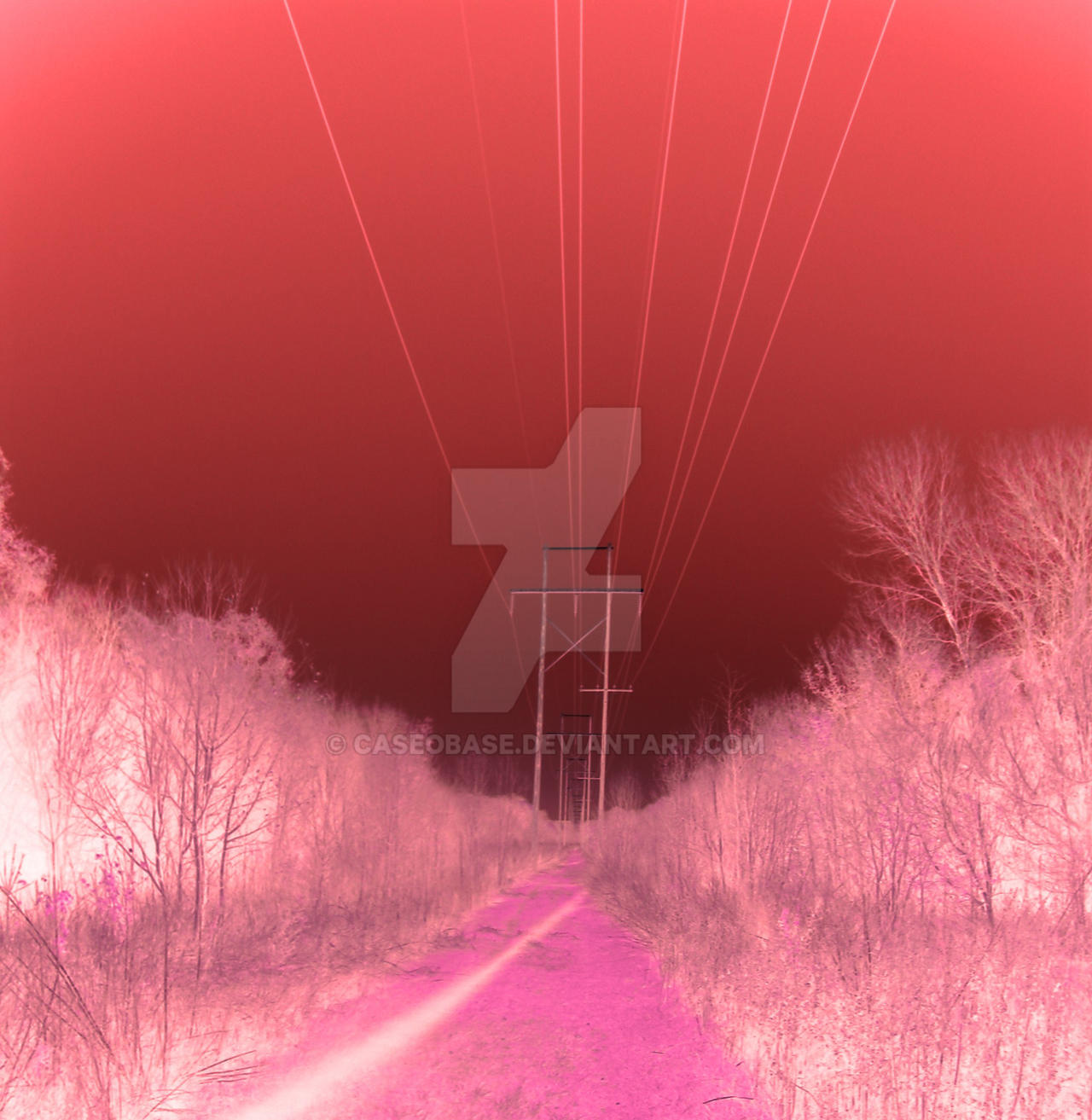 The Pink Path by caseobase on DeviantArt