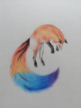 Fox Drawing