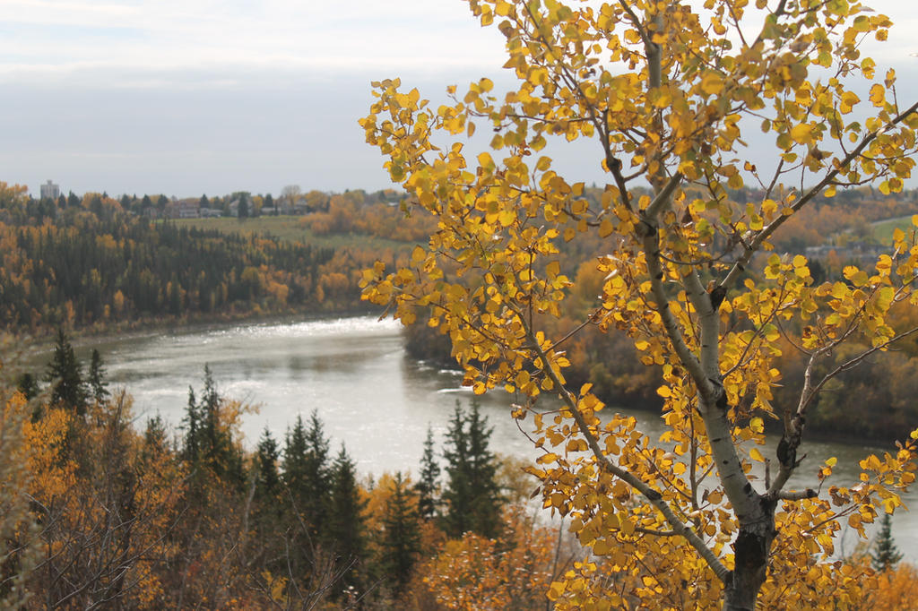 Auto Rivers Mages Autom River by TaydoMan on DeviantArt