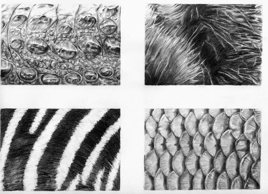 Animal Textures