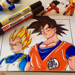 Vegeta and Goku (DBZ)