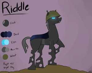 Riddle Ref