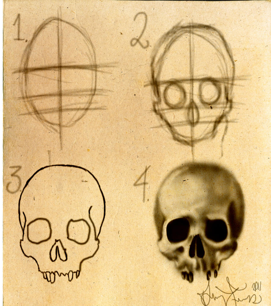 How to draw a skull Stepbystep by DForssten on DeviantArt How to draw a skull Stepbystep by DForssten on DeviantArt