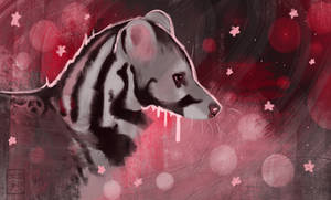 Civet Cat