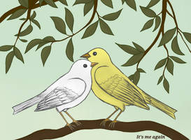 Hetalia ~ Pierre and Gilbird