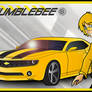 Dance Bumblebee Dance