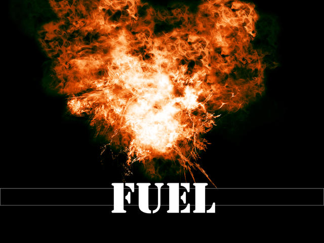 Fuel