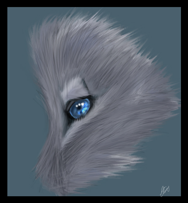 Wolf eye