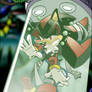 Shadow under Glass