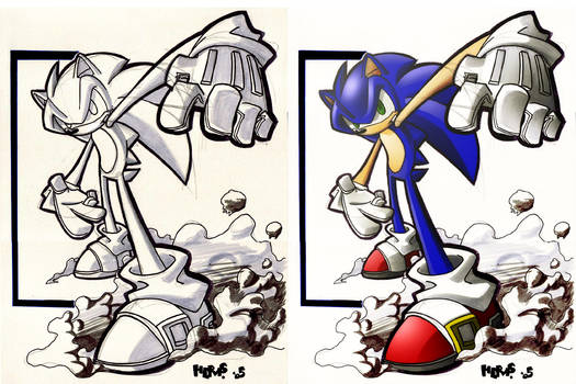 Speedy Sonic Markers Study