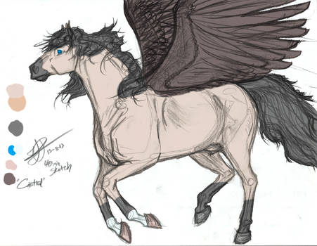 Pegasus+wip