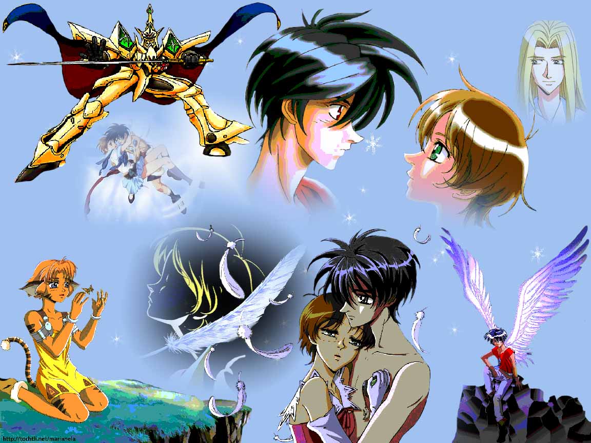 The Vision of Escaflowne, Visions of Escaflowne