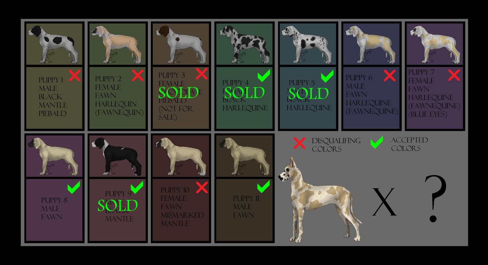 99+ Mismarked Fawn Mantle Great Dane