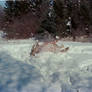 Playing in the Snow (9)
