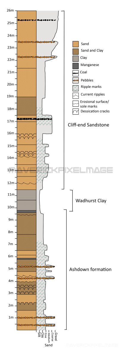 Graphic log- Hastings beds