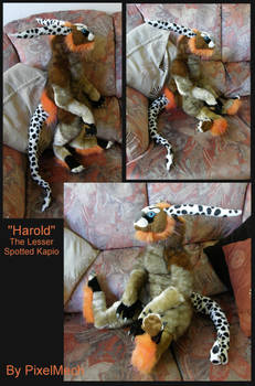 'Harold' the Kapio Plush